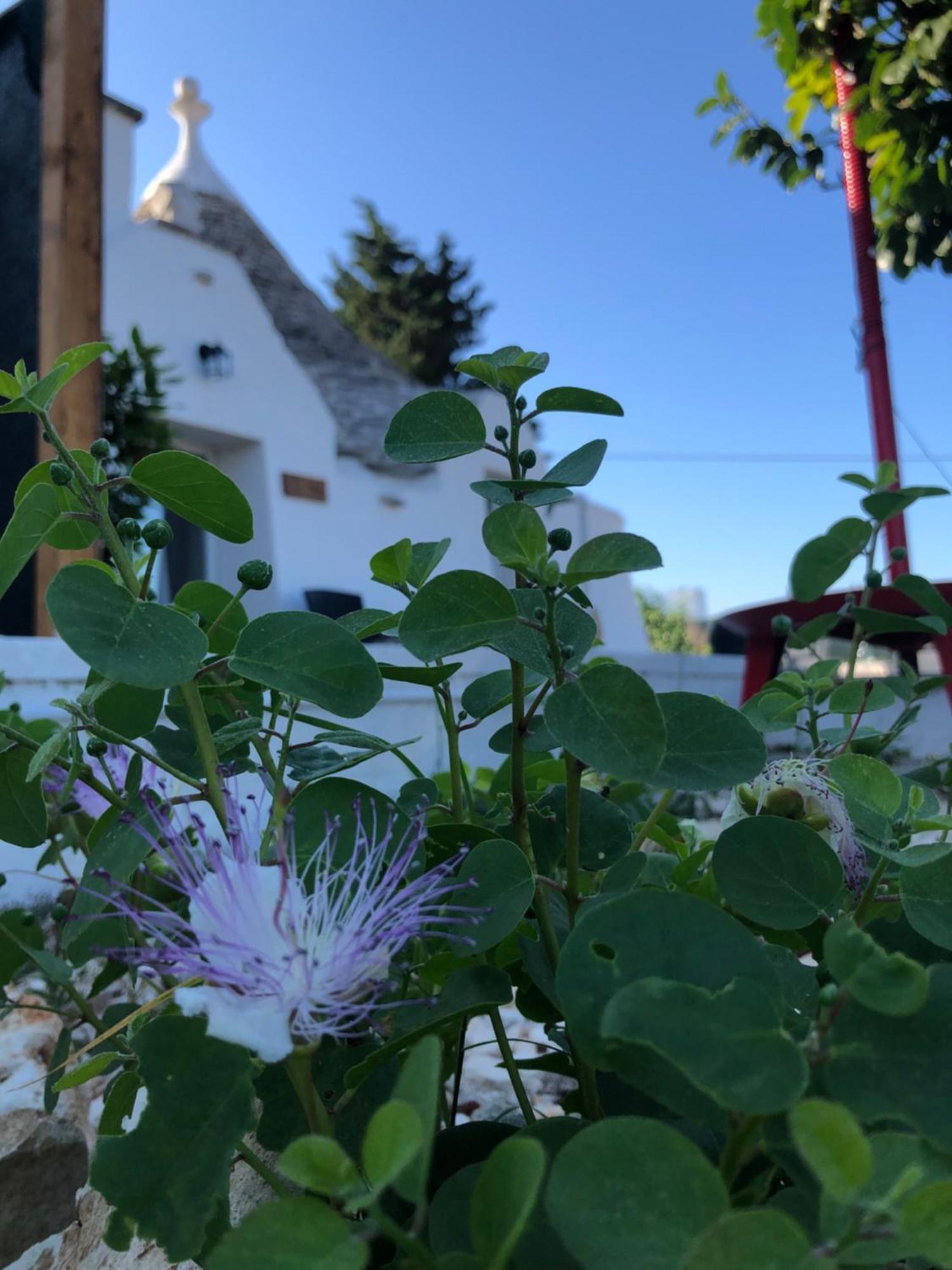 Trullo Trilli Puglia Villa Martina Franca Kültér fotó