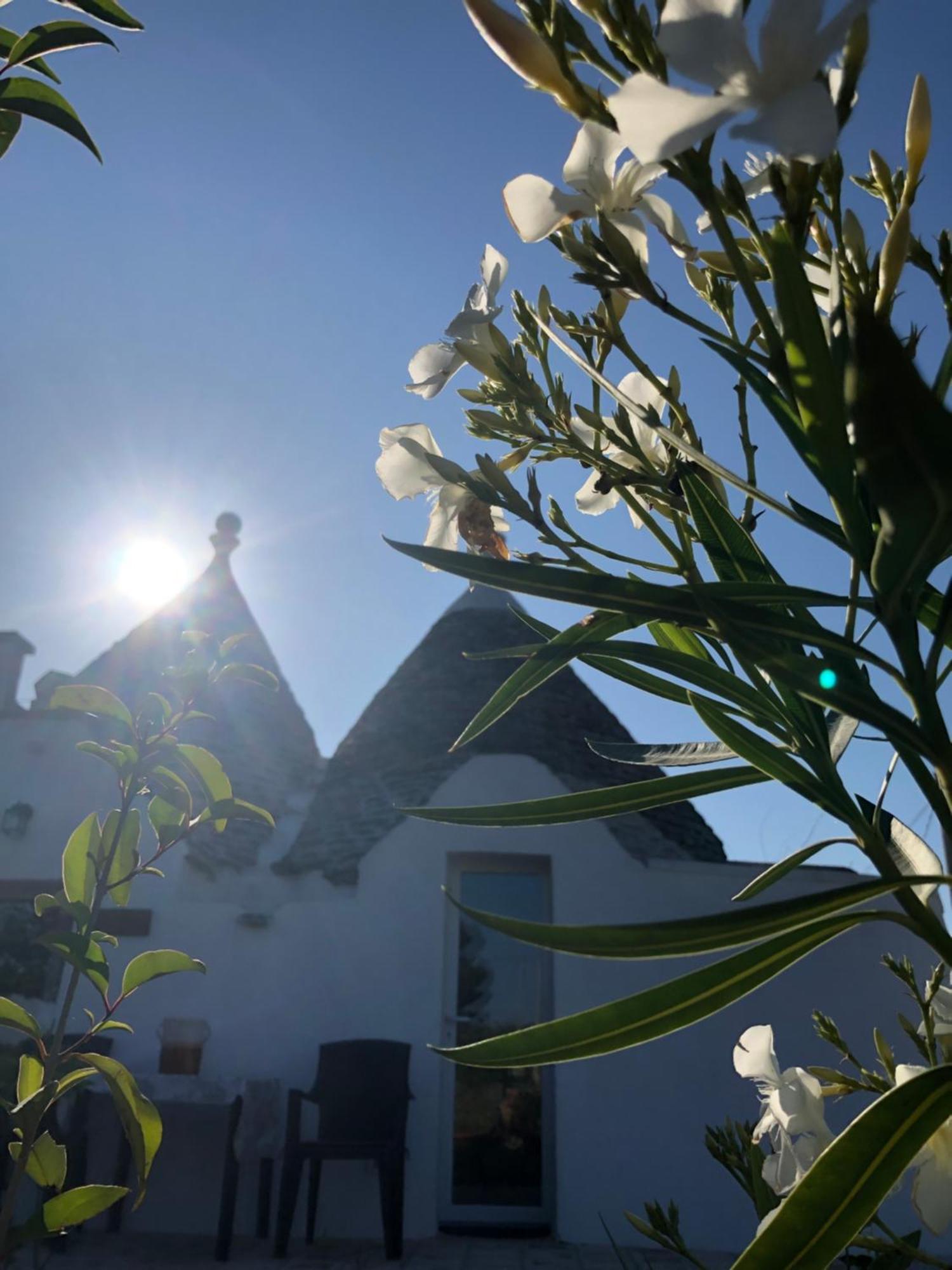 Trullo Trilli Puglia Villa Martina Franca Kültér fotó