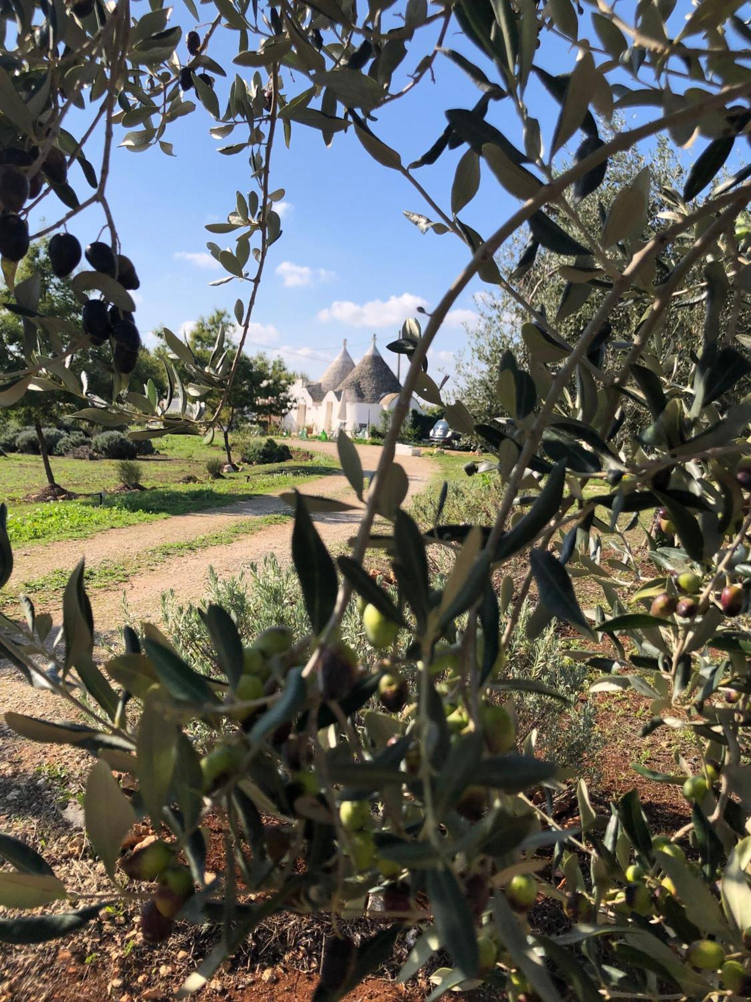 Trullo Trilli Puglia Villa Martina Franca Kültér fotó