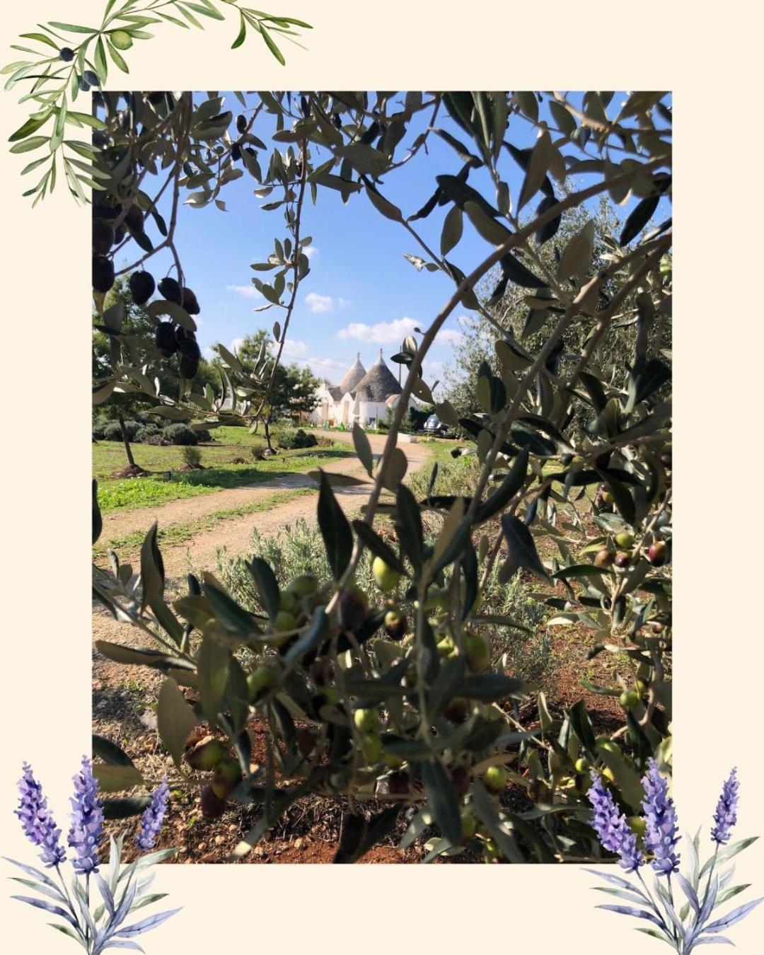 Trullo Trilli Puglia Villa Martina Franca Kültér fotó